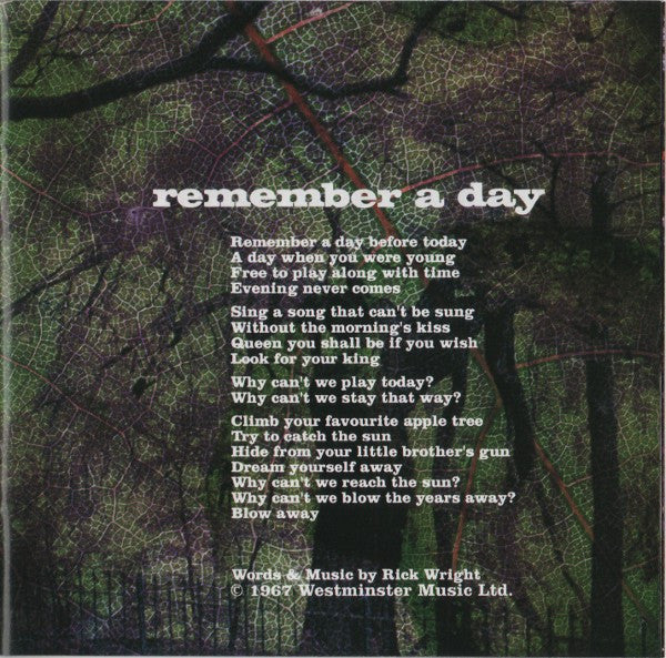 A Saucerful Of Secrets - Image 7