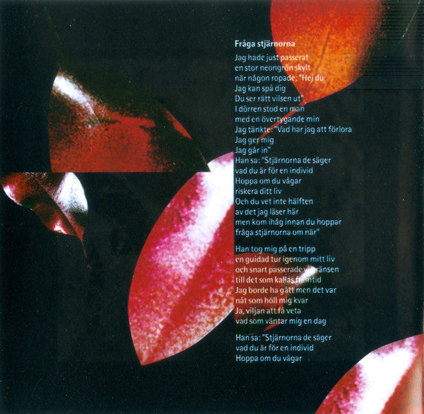 Cajsa Stina - Image 5