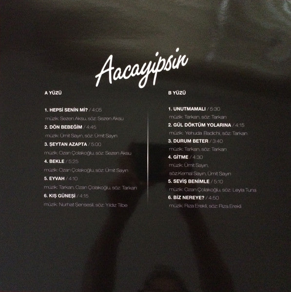 Aacayipsin - Image 2