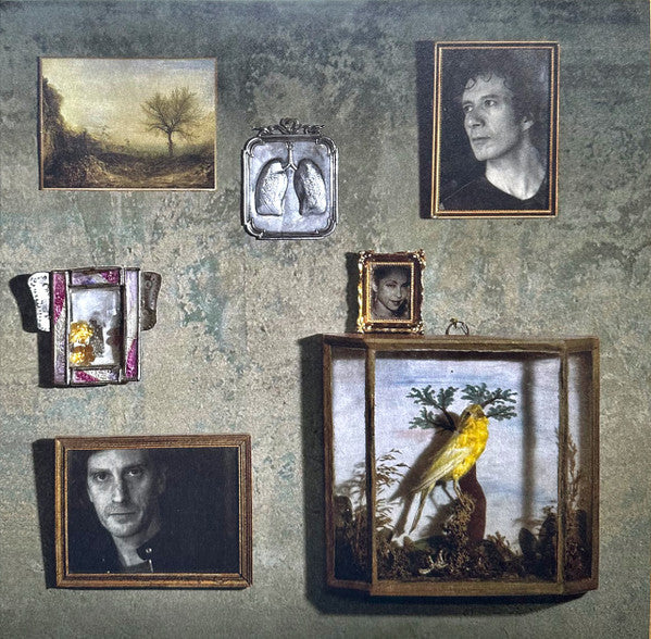 Soldier Of Love - Image 3