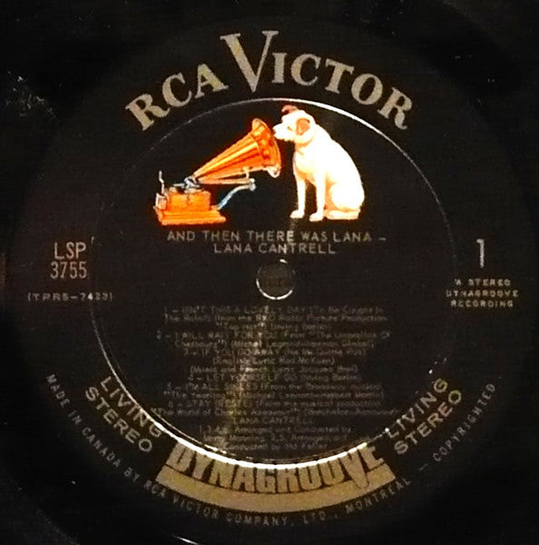 And Then There Was Lana - Image 3